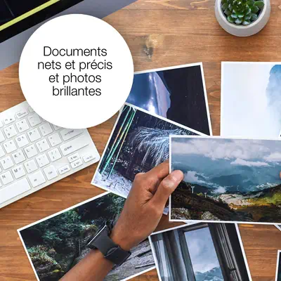 Encre jaune Claria Premium Ours Polaire 26 - Epson - Cartouches d'encre - visuel 6