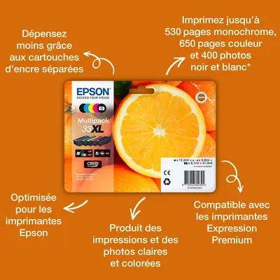 Epson Oranges Encre cyan Claria Premium 33 - Cartouches d'encre - visuel 2