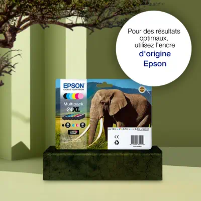 Epson Elephant Encre cyan Claria Photo HD Éléphant 24 - Cartouches d'encre - visuel 3