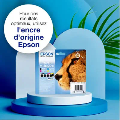 Epson Cheetah Singlepack Cyan T0712 DURABrite Ultra Ink - Cartouches d'encre - visuel 4