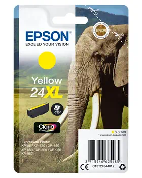 Achat responsable C13T24344022