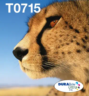 EPSON 2LB EasyMail MP Cheetah DURABrite Ultra CMYK - Epson - Cartouches d'encre - visuel 1