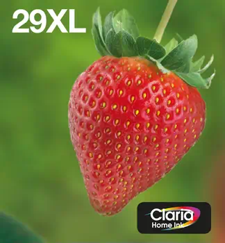 EPSON 1LB Multipack 4-colours 29XL EasyMail comparaison
