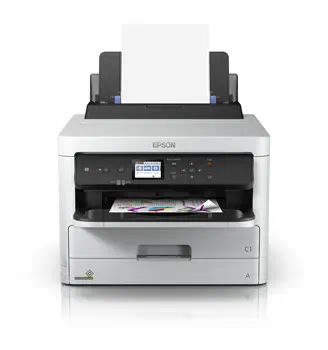 Autres consommables WorkForce C13T01D100 achat