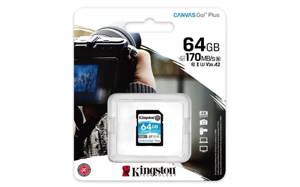 Carte SDXC Canvas Go Plus 170R C10 UHS-I Kingston - visuel 1 - hello RSE - Idéale pour le tournage de vidéo en 4K UHD et pour des photos en mode rafale sur votre DSLR
