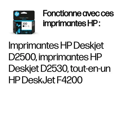 HP 300 cartouche d'encre noir authentique - Toner - visuel 1