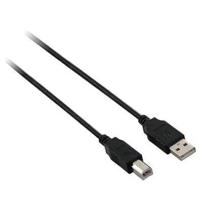 V7 Câble USB 2.0 A mâle vers USB 2.0 B mâle, noir 2m 6.6ft - visuel 1