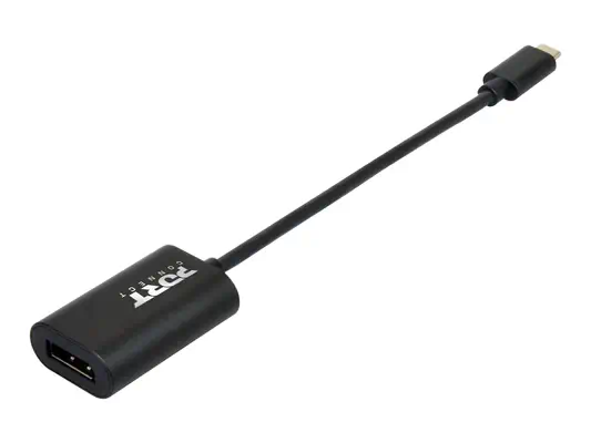 PORT DESIGNSCONVERTER TYPE C TO DP - PORTDESIGNS - Câble pour Affichage - visuel 1