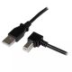 Achat StarTech.com Câble USB 2.0 A vers USB B sur hello RSE - visuel 1