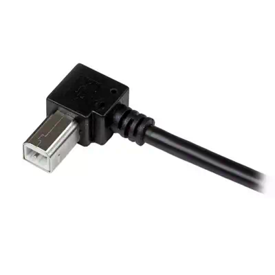 Vente StarTech.com Câble USB 2.0 A vers USB B StarTech.com au meilleur prix - visuel 2