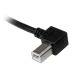 Vente StarTech.com Câble USB 2.0 A vers USB B StarTech.com au meilleur prix - visuel 8