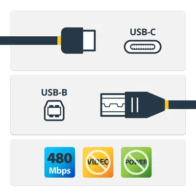 StarTech Câble USB-B vers USB-C de 3m, Câble de Transfert - visuel 4