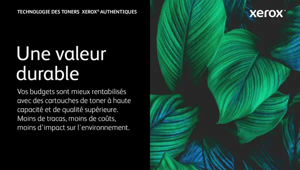 Cartouche de toner Blanc de Capacité standard Xerox Imprimante couleur Xerox® VersaLink® C8000W (500 - Toner - visuel 2