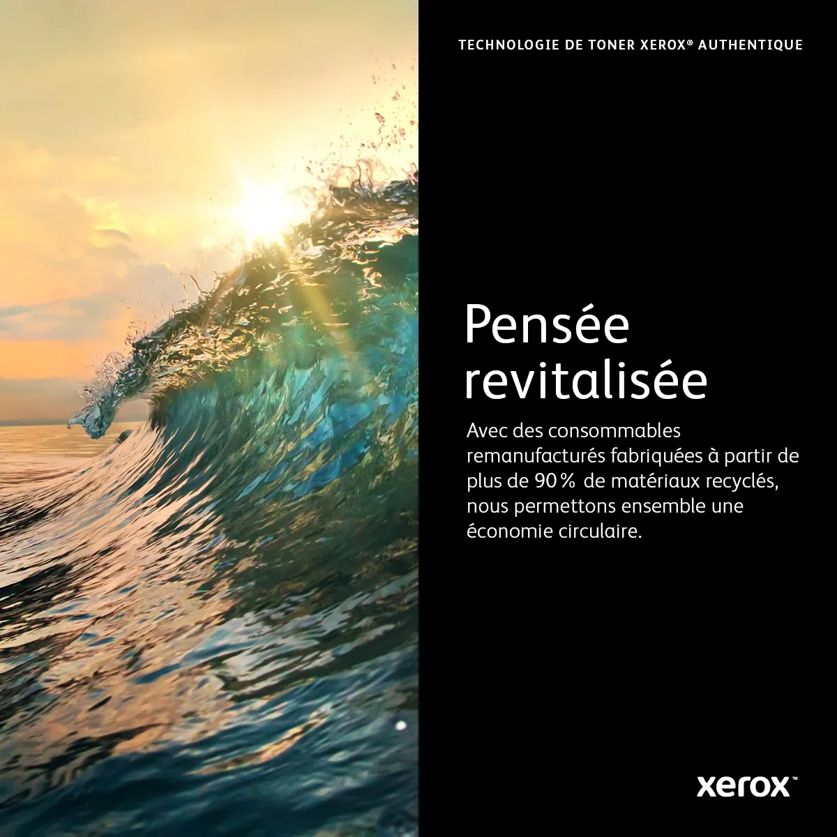 Cartouche de toner Cyan de Grande capacité Xerox WorkCentre® 6655/6655i (7500 pages) - 106R02744 - Toner - visuel 10