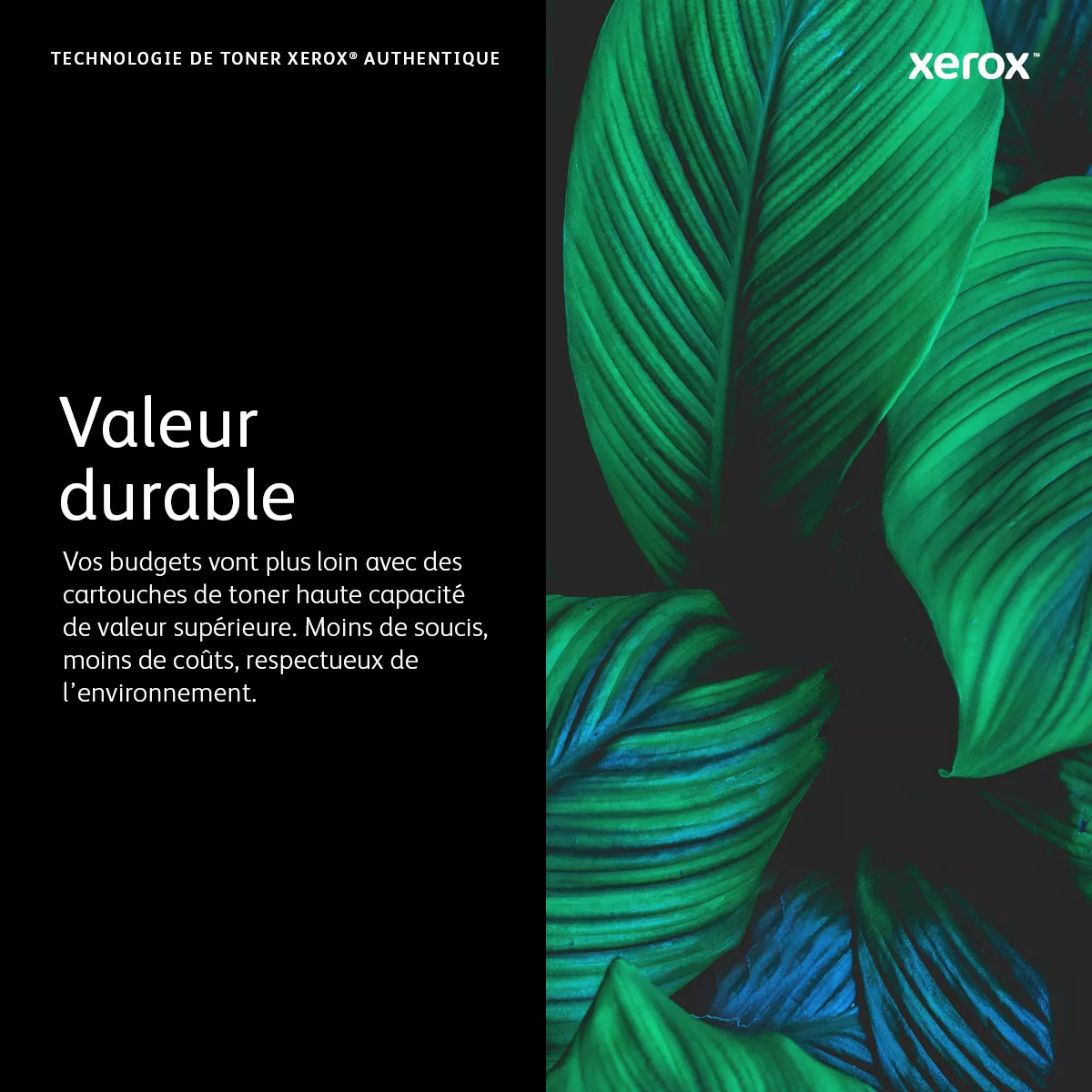 XEROX TONER CARTRIDGE XHI NA/XE - VL Xerox - visuel 1 - hello RSE - Plus audacieux ensemble