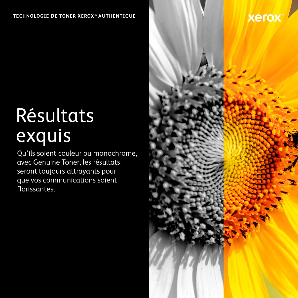 XEROX TONER CARTRIDGE XHI NA/XE - VL Xerox - visuel 1 - hello RSE - 