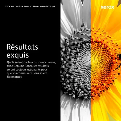 XEROX TONER CARTRIDGE HI NA/XE - VL - Xerox - Toner - visuel 7