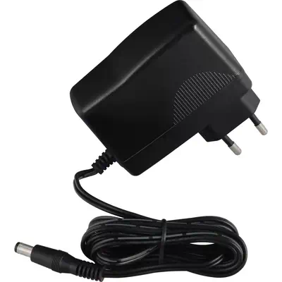 NETGEAR PAV12V adaptateur de puissance & onduleur Intérieure 30 W Noir - Netgear - Chargeur et alimentation - visuel 1