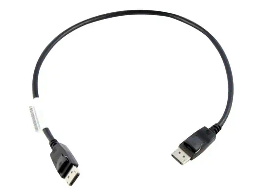 LENOVO 0.5 Metre DisplayPort vers DisplayPort câble - Lenovo - Câble pour Affichage - visuel 1