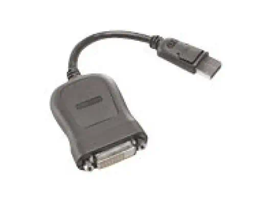 LENOVO DISPLAYPORT TO SINGLE-LINK DVI-D (D IGITAL - Lenovo - Câble pour Affichage - visuel 1