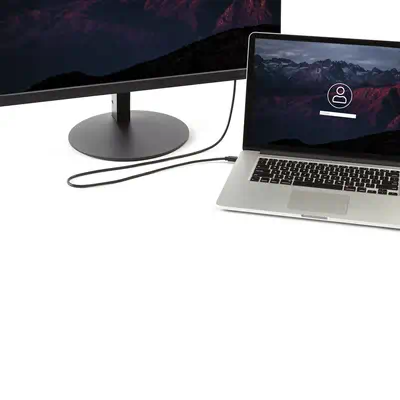 StarTech Câble Mini DisplayPort vers DisplayPort 1.2 de 2m - Câble pour Affichage - visuel 2
