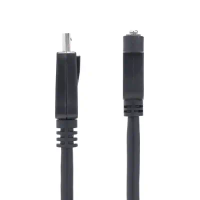 StarTech Câble DisplayPort à Montage sur Panneau de 91cm - Câble pour Affichage - visuel 3