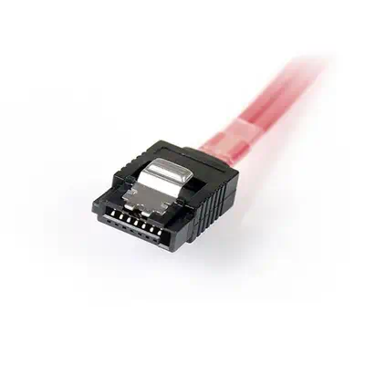 StarTech Câble SAS Serial Attached SCSI 1 m - SFF-8087 vers - Câble pour Stockage - visuel 2