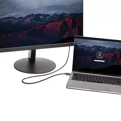 Vente StarTech.com Câble adaptateur USB-C vers DVI-D de 2 StarTech.com au meilleur prix - visuel 6