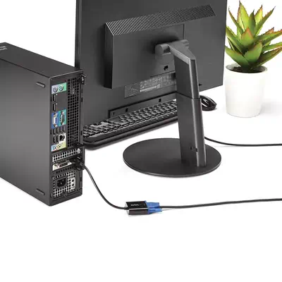 StarTech Adaptateur DisplayPort vers VGA - Pack de 5 - Câble pour Affichage - visuel 3