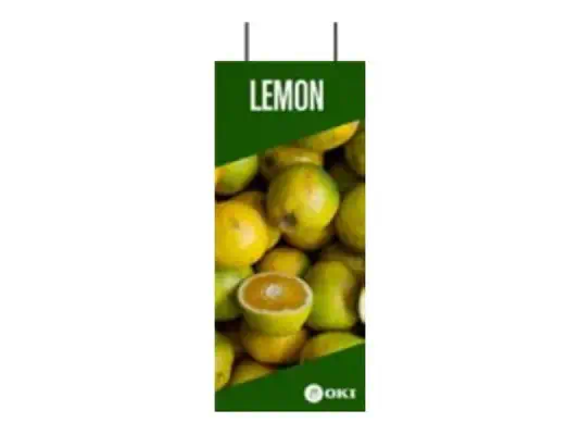 OKI FASTDISP A3 ceiling METAL 30x90CM - Accessoires pour imprimante - visuel 1