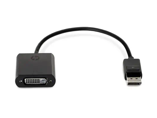 HP Display Port to DVI SL Adapter - Câble Audio - visuel 1