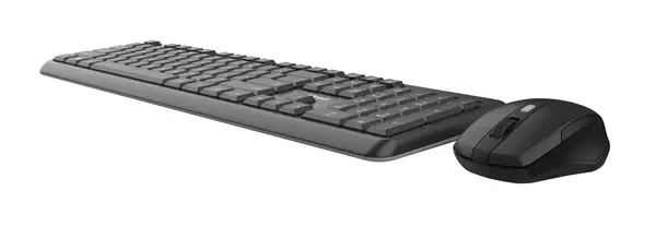 Trust TKM-350 clavier Souris incluse Universel RF sans fil AZERTY Français Noir - Clavier - visuel 4