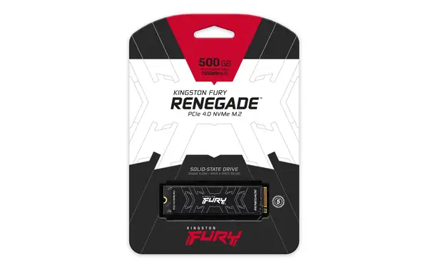 500G FURY RENEGADE M.2 2280 NVMe SSD Kingston - visuel 1 - hello RSE - Dissipateur de chaleur fin en aluminium-graphène