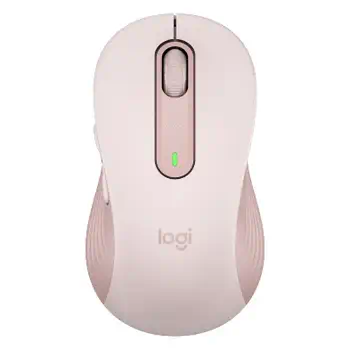 Avis Souris 
