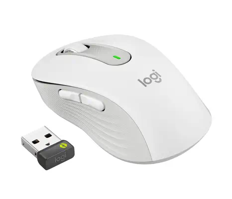 Logitech 910-006275 souris Bureau Droitier RF sans fil + Bluetooth Optique 4000 DPI - Souris - visuel 5