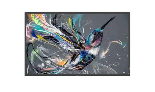 Philips 65BDL3550Q/00 Écran d'affichage dynamique 165,1 cm (65") IPS 400 cd/m² 4K Ultra HD Android 8 - Affichage dynamique - visuel 1
