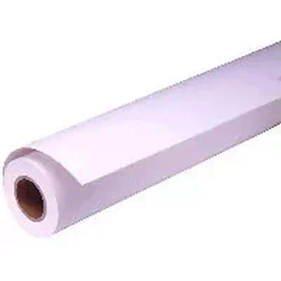 Epson Pap Photo Premium Glacé (250) 16" (0,406x30,5m) - Autre Imprimante - visuel 1