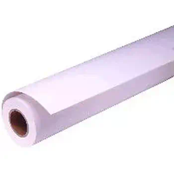 Avis Epson Pap Photo Premium Glacé (250) 16" (0,406x30,5m)