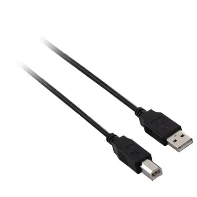 V7N2USB2AB-05M  - Câble USB - visuel 1