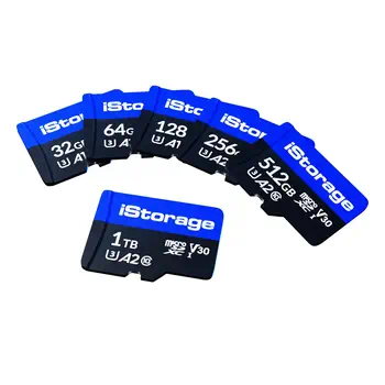Livraison rapide Carte Mémoire 256 Go
