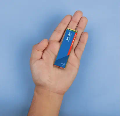 SanDisk Blue WD SA510 500 Go M.2 Série ATA III - Sandisk - Disque dur SSD - visuel 5