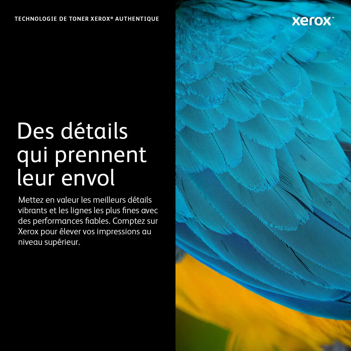 Cartouche de toner Noir de Très haute capacité Xerox Phaser® 3610, WorkCentre® 3615 (25300 pages) -  - Toner - visuel 3