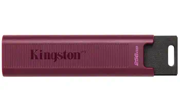 Meilleur prix Adaptateur stockage DataTraveler DTMAXA/256GB