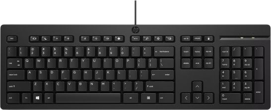 Vente HP 125 Wired Keyboard (FR HP au meilleur prix - visuel 6