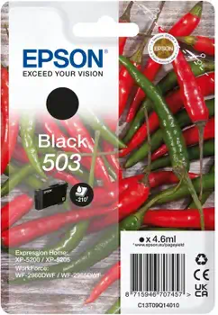 Achat EPSON Singlepack Black 503 Ink au meilleur prix