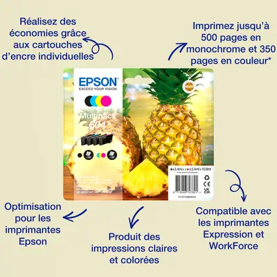 Epson Multipack 4-colours 604 XL Black/Std. CMY - Cartouches d'encre - visuel 2