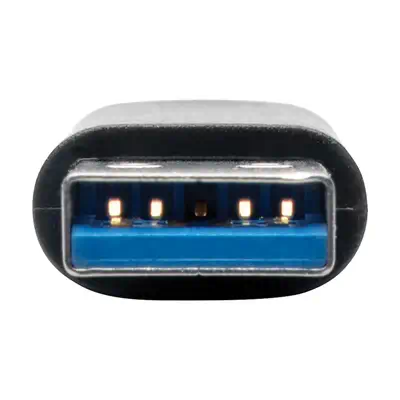 EATON TRIPPLITE USB-C Female to USB-A Male Adapter Tripp Lite - visuel 1 - hello RSE - Construction durable