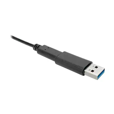 EATON TRIPPLITE USB-C Female to USB-A Male Adapter Tripp Lite - visuel 1 - hello RSE - Compatibilité polyvalente