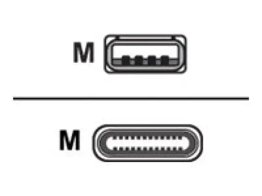 CISCO USB C USB A CABLE 4 METERS LONG - Câble USB - visuel 1