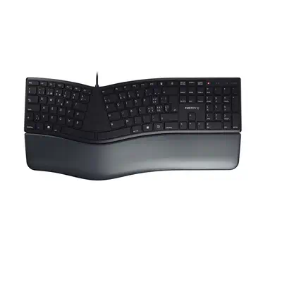 CHERRY KC 4500 ERGO clavier Bureau USB QWERTZ Suisse Noir - Clavier - visuel 1